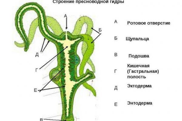 Bs gl ссылка зеркало