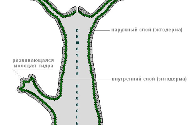 Блэкспрут площадка 1blacksprut me