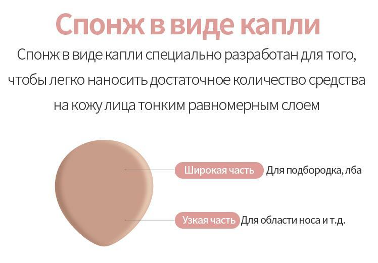 Как зарегистрироваться на блэкспруте по ссылке